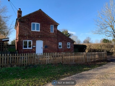Detached house to rent in Church Lane, Frettenham, Norwich NR12