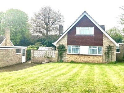 Detached house to rent in Gorselands, Newbury RG14