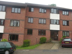Property to rent in Oakstead Close, Ipswich IP4
