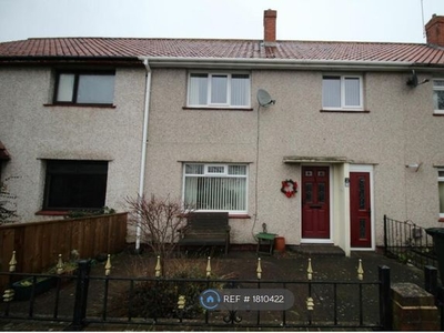 Terraced house to rent in Fawdon Park Road, Newcastle Upon Tyne NE3