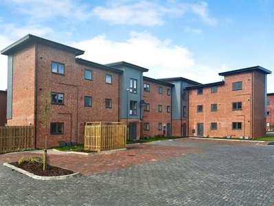 1 Bedroom Apartment For Rent In Shirley