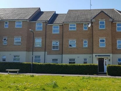 2 Bedroom Apartment For Rent In Coton Meadows, Rugby