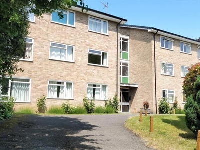 2 Bedroom Shared Living/roommate Winchester Hampshire