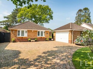 4 Bedroom Detached Bungalow For Sale In St Ives