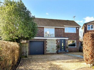 4 Bedroom House Petersfield Hampshire