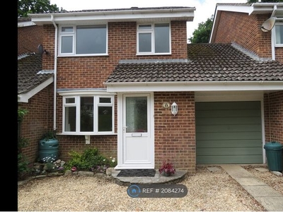 Detached house to rent in Stanford Rise, Sway SO41