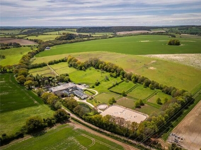 Equestrian Facility For Sale In Andover, Test Valley