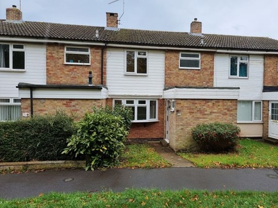 Terraced house to rent in Caie Walk, Bury St. Edmunds IP33