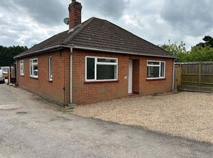 Bungalow to rent in Mersea Road, Colchester CO2