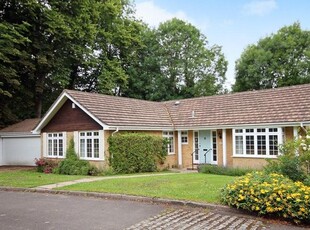 Detached bungalow to rent in Leaside, Great Bookham KT23