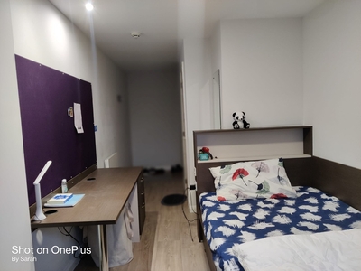 Room in a Shared Flat, No. 42 St David's Student Roost New , SA1