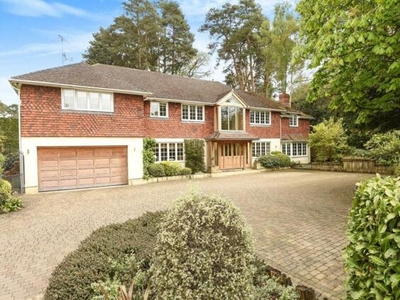 6 Bedroom Detached House For Sale In Sunningdale, Berkshire