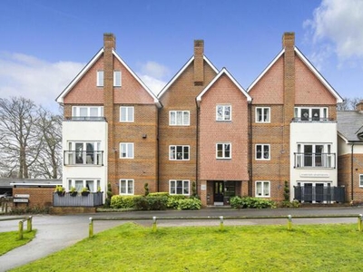 1 Bedroom Shared Living/roommate Guildford Surrey