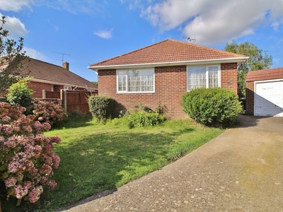 Detached bungalow to rent in Springfield Close, Bedhampton, Havant PO9