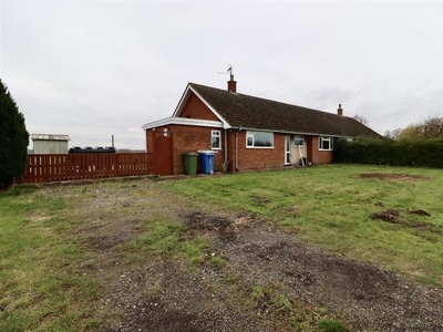 Semi-detached bungalow to rent in Hasholme, Holme-On-Spalding-Moor, York YO43