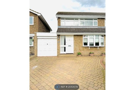 Semi-detached house to rent in Downsway, Chelmsford CM1