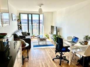 1 bedroom apartment for rent in Aire, Cross Green Lane, Leeds, LS9