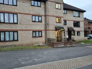 1 bedroom apartment for rent in The Beeches, Out Risbygate, Bury St. Edmunds, Suffolk, IP33