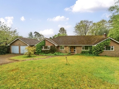 Detached bungalow for sale in Dell Close, Haslemere GU27
