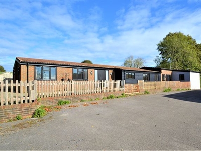 Detached bungalow to rent in Pickhurst Lane, Pulborough, West Sussex RH20