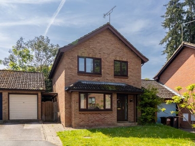 Link-detached house to rent in 35 Beech Road, Alresford, Hampshire SO24