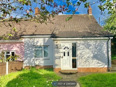 Semi-detached house to rent in Vicarage Avenue, White Notley, Witham CM8