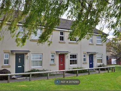 Terraced house to rent in Wayte Street, Swindon SN2