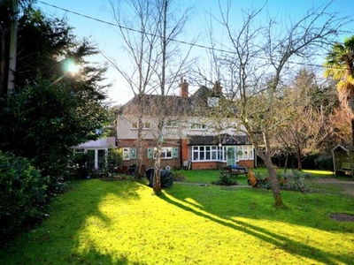 4 Bedroom Semi-detached House For Sale In Cranleigh