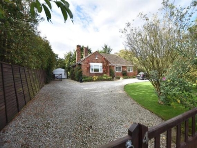 3 Bedroom Detached Bungalow For Sale In Ridley Wood