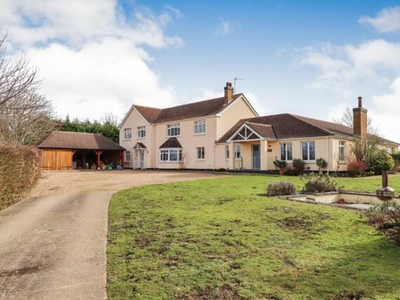 6 Bedroom Detached House For Sale In St. Neots