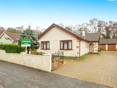 Bungalow for sale in Steeple Close, West Canford Heath, Poole, Dorset BH17