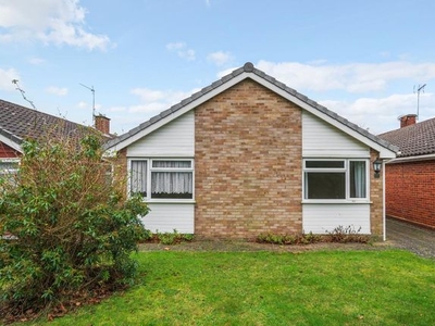 Detached bungalow to rent in Maidenhead, Berkshire SL6