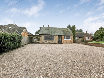 Detached bungalow to rent in Old Road, Holme-On-Spalding-Moor, York YO43