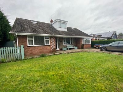 Detached bungalow to rent in Windmill Lane, Buerton, Crewe CW3