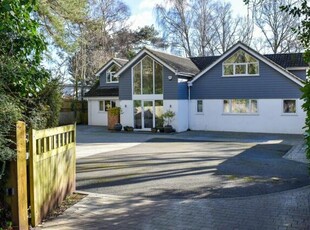 5 Bedroom Detached House For Sale In Ferndown
