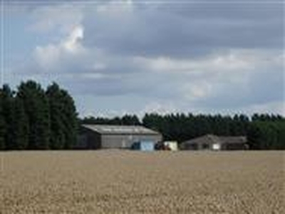 279.82 acres, Arable Farm - Wisbech St Mary, Cambridgeshire