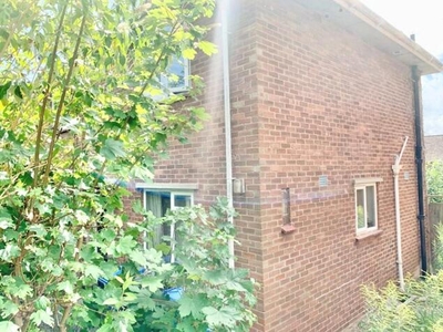4 Bedroom End Of Terrace House For Rent In Norwich