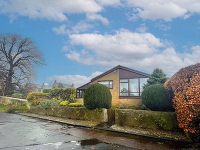Bungalow for sale in The Limes, Stannington, Morpeth NE61