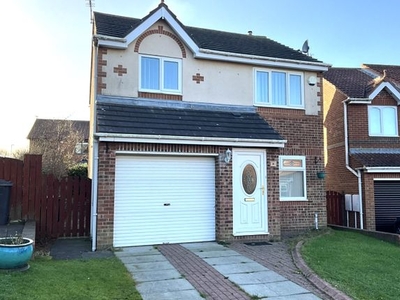 Detached house for sale in Beacon Glade, South Shields, Tyne And Wear NE34