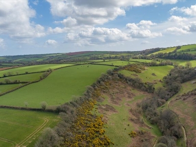 Land for sale in Halwell, Totnes, Devon TQ9