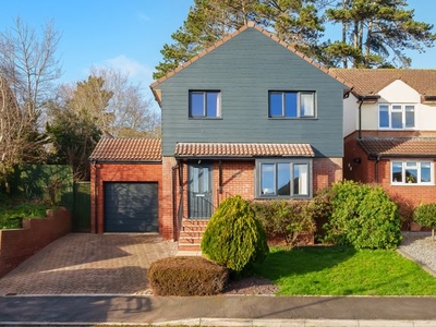 Detached house for sale in Ivydale, Exmouth EX8
