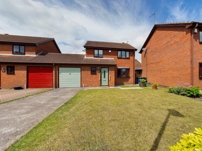 Link-detached house to rent in Nettleholme, Hatfield, Doncaster, South Yorkshire DN7