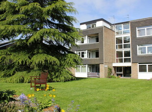 1 bedroom flat for rent in Beechbank, Norwich, NR2