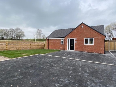 Detached bungalow to rent in Off Holt Lane, Kingsley, Stoke-On-Trent ST10