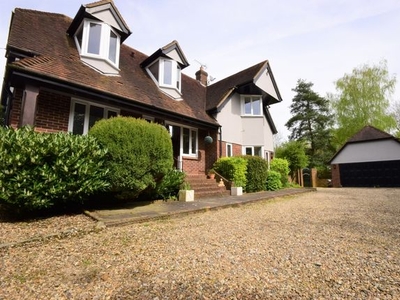Detached house to rent in Kingston Hill, Langdon Hills SS16