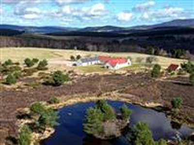 87.1 acres, Backharn, Nethy Bridge, Inverness-Shire, PH26, Highlands and Islands