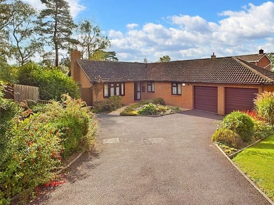 Bungalow for sale in The Pippins, Wilton, Ross-On-Wye, Herefordshire HR9