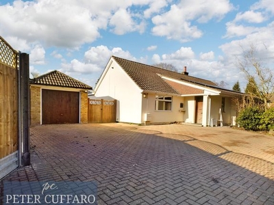 Detached bungalow for sale in Mount Pleasant, Hertford Heath SG13