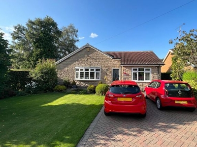 Detached bungalow for sale in Newbold Back Lane, Brockwell, Chesterfield S40