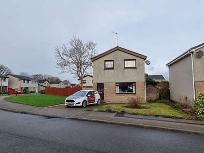 Detached house to rent in Newburgh Circle, Bridge Of Don, Aberdeen AB22